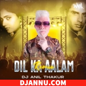 Dil Ka Aalam DJ Remix Mp3 Dj Anil Thakur
